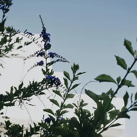 Heyblue Aura Seaside - Unique Escape * Naxos City